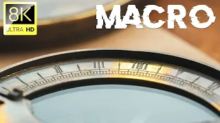 Macro Shots Collection in 8K ULTRA HD (60 FPS) | Satisfying Film With Cinematic Music | 03