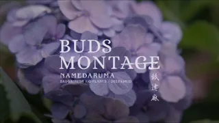 舐達麻 BUDS MONTAGE  (instrumental)