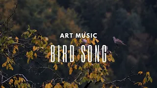 Bird Song | Instrumental Background Music