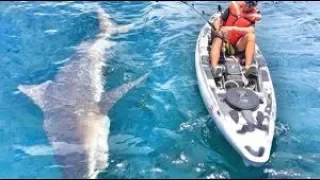 TOP 10 Worst GREAT WHITE SHARK Attacks HD 2018