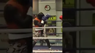 Boxing 🥊 aldo colliander 666 cents Sasha dimitrenko