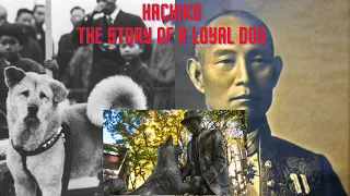 Hachiko The True Story Of A Loyal Dog - I Can't Try To Not Cry