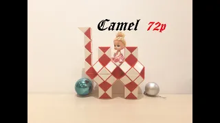 SLOW TUTORIAL- Rubik cube or Rubik's Snake 72 - Camel