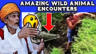 Villagers React To Amazing Wild Animals Encounters ! Tribal People React To  WILD Animal Encounter