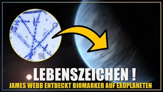 Sensation! James Webb entdeckt deutliche Anzeichen von Leben auf einem weit entfernten Exoplaneten!