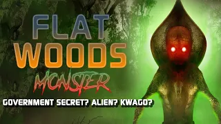 Isang kwago nga lang ba o isang totoong alien? | Flatwoods Monster