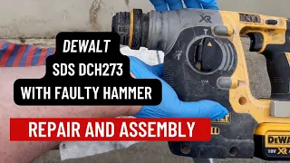 DeWalt DCH273 SDS Repair and Rebuild (Hammer Fix)