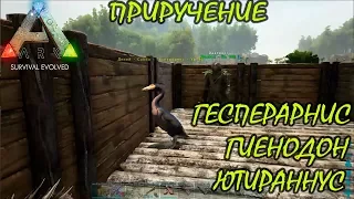 ARK: Survival Evolved - #15 Приручение: Ютираннус, Гесперорнис и Гиенодон