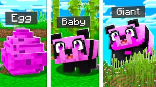 5 BEST Pets to Tame in Minecraft!