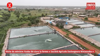 VISITE DU MINISTRE YOUBA BA DANS LA FERME « Société Agricole Dadougoura Nietassoba »