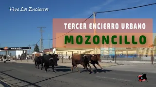 Tercer encierro urbano #Mozoncillo 2023