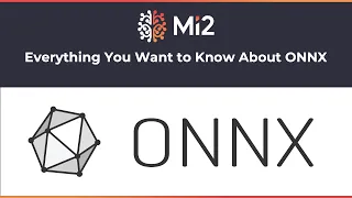 Everything You Want to Know About ONNX