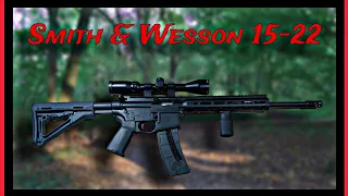 Smith & Wesson M&P 15-22 22LR rifle - Superior to the Ruger 10/22 ???