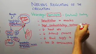 CVS physiology 118. Vasovagal syncope, Emotional fainting