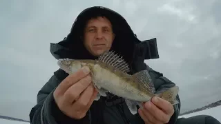 Отчёт о рыбалке по окуню и судаку (Волга, Калязин) 31.03.2018.