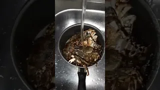 Aratu e lagostas na panela 😋
