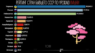 Рейтинг стран бывшего СССР по урожаю вишни.Инфографика.Статистика.Сравнение стран