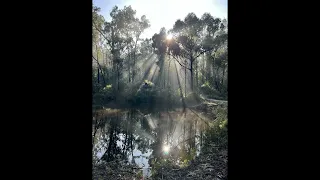 Утро раннее/ Early Morning