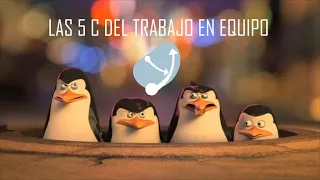 Las 5 C del trabajo en equipo