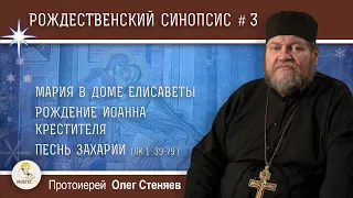 Рождественский синопсис #3. Мария в доме Елисаветы.Рождение Иоанна Крестителя.Песнь Захарии. Стеняев