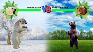 Polar Bear Vs Grizzly Bear