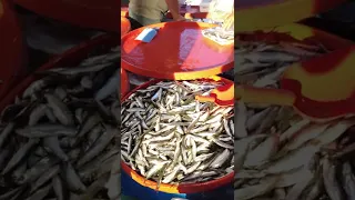 Fresh Fish #/Balık Pazarı 🇹🇷🐟🎣😋