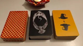 Pick a deck : คนใหม่ๆที่คุณจะดึงดูดเข้ามาในเรื่องของความรักในปีนี้(2567)