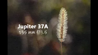 Jupiter 37A 135 mm f/3.5  / Short Film