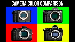 Camera color comparison between Canon vs Fuji vs Sony vs Nikon? Decide for yourself.