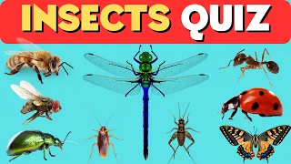 5th Standard Kids Dynamic Quiz! Guess Insects GK Quiz