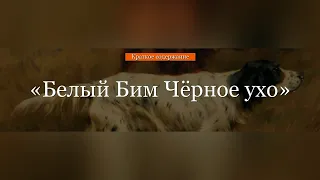 Краткое содержание - Белый Бим Чёрное ухо