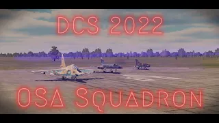 My 2022 DCS experience