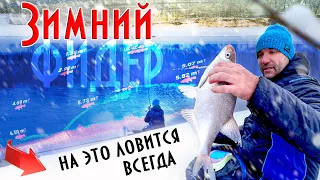 РЫБЫ МНОГО а не клюет ?! Как ловить зимой на фидер / На это ЛОВИТСЯ ВСЕГДА !!! #73 выпуск #фидер