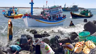 Gặp Siêu Phẩm Lưới Rút 6 Tỷ | Bãi Tắm Đông Nhất Phan Thiết