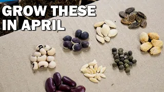 15 Seeds You Must Grow in April