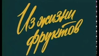 Следствие ведут знатоки: Из жизни фруктов (дело № 16, часть 2 1981 г.)