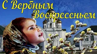 Вербное Воскресенье! Красивое Поздравление с Вербным Воскресеньем! Музыкальная Открытка!