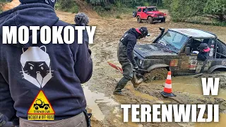 MotoKoty w Terenwizji