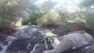 Gator attacks fishermen on kayak