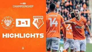 Highlights | Blackpool v Watford