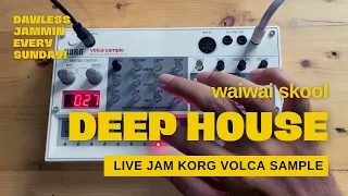 Korg Volca Sample Deep House