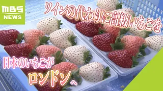 日本のブランドいちごがロンドンの百貨店で『１パック７０００円以上』でも好評！！「自分へのご褒美として良いワインの代わりに高級いちごを」（2024年1月30日）
