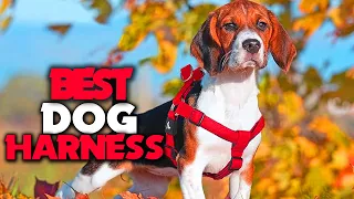 ✅ TOP 5 BEST DOG HARNESSES ✅ Best Dog Harness in 2024 🔥 Dog Harness Review [Buying Guide]