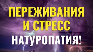 Эмоциональное состояние - нестабильно. Переживаю. Не справиться со стрессом!