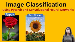 Image Classification Using Pytorch and Convolutional Neural Network