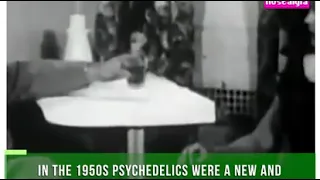 1950's Housewife takes LSD