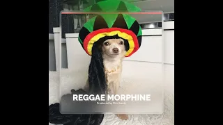 Reggae Hip-Hop Type Beat - Reggae morphine [prod. by Flint beatz]