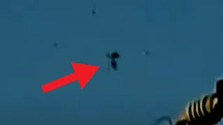 Mysterious UFO Videos No One Can Explain