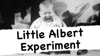 The Evil & Tragic “Little Albert Experiment”
