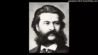 Johann Strauss - Der Zigeunerbaron ( The gypsy baron ) - II. Ensemble